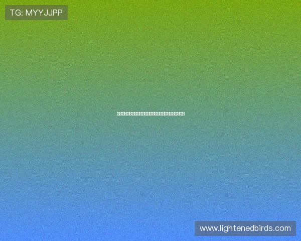 娱乐五哈带你深入分析世界杯赛事热点与明星球员的精彩表现 娱乐五哈带你深入分析世界杯赛事热点与明星球员的精彩表现